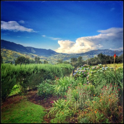 The view from my office.